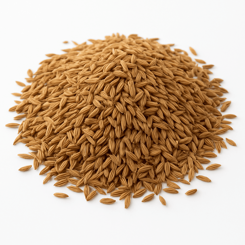 Cumin Seeds (Jeera)